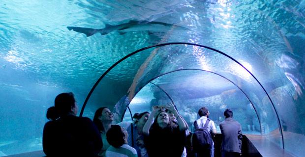 Aqua Vega Aquarium