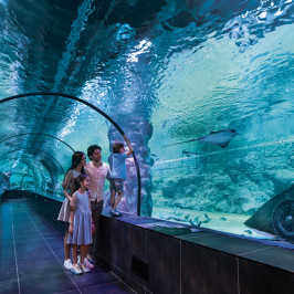 Viasea Aquarium