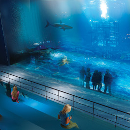 Abu Dhabi Aquarium