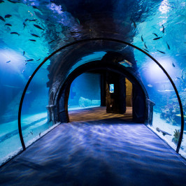 Funtastic Aquarium İzmir